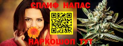 сатива Малгобек
