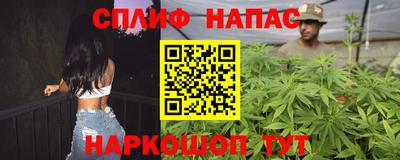 сатива Малгобек