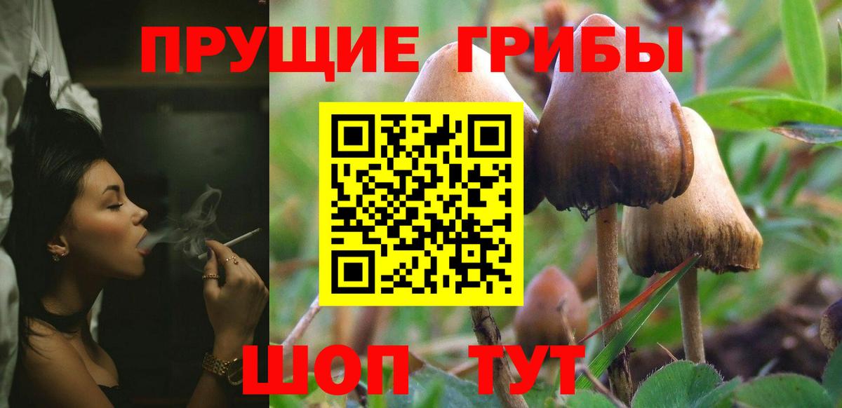 Псилоцибиновые грибы ЛСД Будённовск