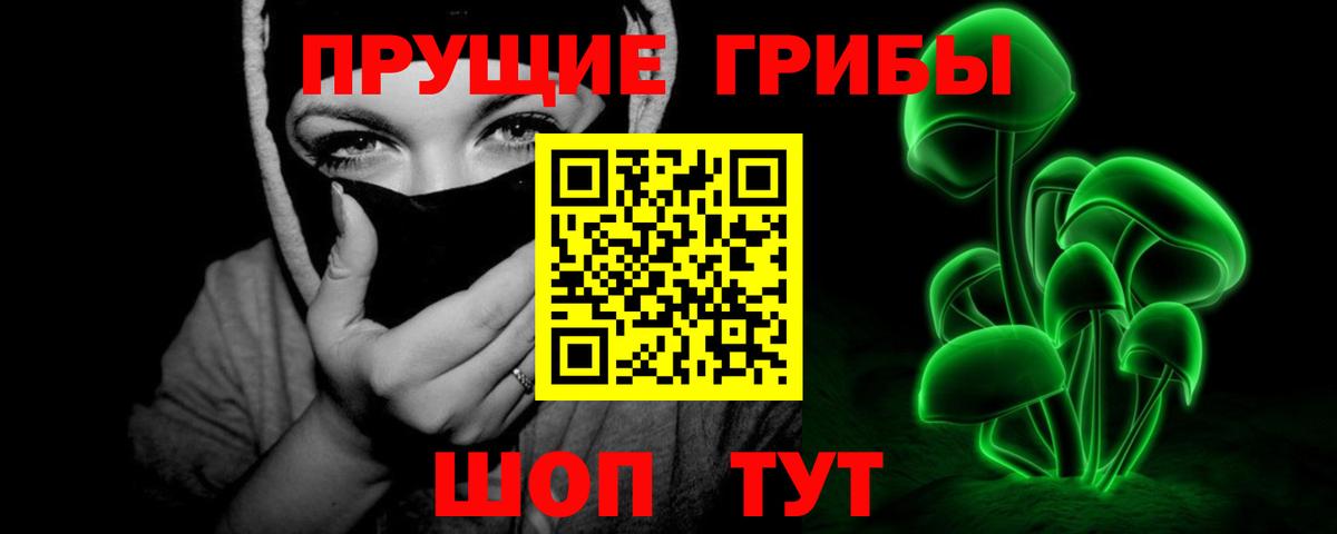 Галлюциногенные грибы GOLDEN TEACHER  Вход с VPN  Будённовск 